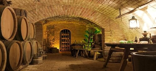 Papier peint photo mural cave à vin vintage en bois de chêne barils de bois Décoration murale (366 x 254 cm) Poster géant