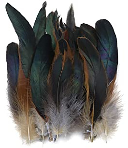 100 Stück Basteln Federn,Natürlich Hahnenfedern,14-20CM DIY Bastelfedern für Bastelprojekte Traumfänger DIY Ohrringe Faschingskostüme Party Hüte Masken Schmuckstücke Ostereier Deko Fasanfedern