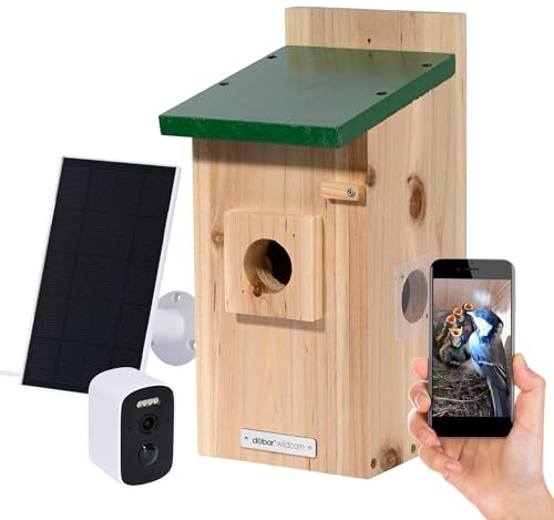Nichoir pour Oiseaux de Luxe Eazy avec caméra WiFi et Panneau Solaire - Observation des Oiseaux avec Aide à la Nidification en Bois et Application - Ø 40 mm Orifice d'entrée - Vert