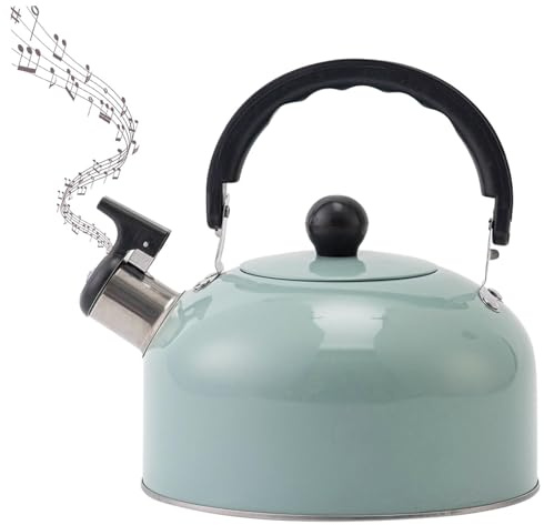 Bouilloire Sifflante INOX pour Cuisinières en Acier Inoxydable 3 Litres Bouilloire Théière avec Poignée Résistante à la Chaleur pour Induction et Gaz