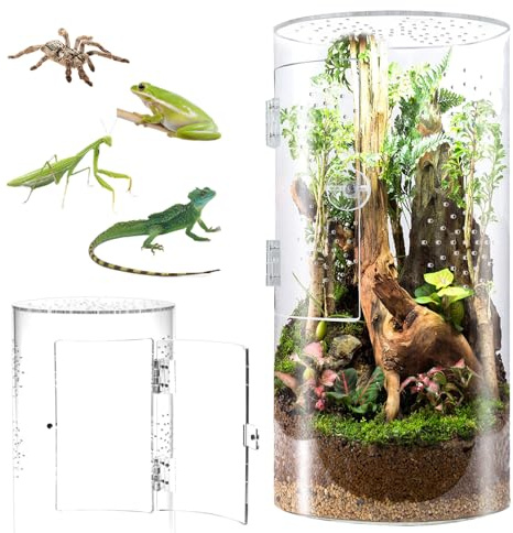 Biigdan Zylindrischer Terrarium, Vivarium, Acryl Terrarium Schnecken - 360° Panorama Reptilien Faunabox, für Springspinnen, Gottesanbeterin, Geckos, Schnecken, Laubfrösche, Käfer