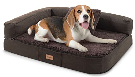 brunolie Odin Hundebett Hundesofa, waschbar, orthopädisch und rutschfest, Hundekissen mit Abnehmbarer Lehne, hundekorb, Größe S 80x60 cm