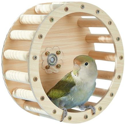 Papegoja löparhjul, parakit träningsleksak, träintelligens, interaktiv burtillbehör, conure nymfparakit berikning, fågelaktivitetshjul för mental tillväxt och lektid