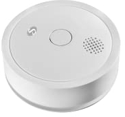 Shelly 3800235265598