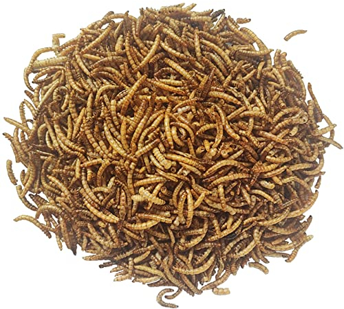 Samore 10 kg (2x5 kg) Mehlwürmer getrocknet - Vogelfutter Fisch-Futter Nager Vögel Reptilien Igel