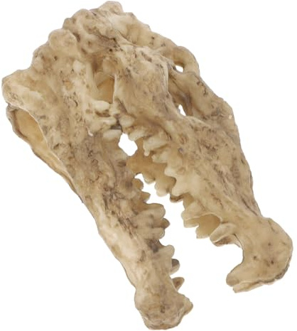 TOYANDONA Ornement Résine Tête de Crocodile pour Terrarium et Aquarium Décor Reptile Polyvalent Boîte Alimentation pour Araignée et Lézard Accessoire Terrarium Facile à Nettoyer