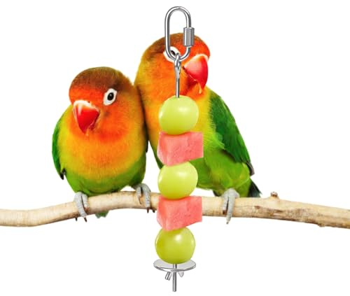 Brochette de fruits pour oiseaux,Bâton de collation en acier inoxydable pour pinsons,Bâton de bonbons pour enrichissement des oiseaux | pour Ara perruche calopsitte Conure pinson Agapornis cacatoès