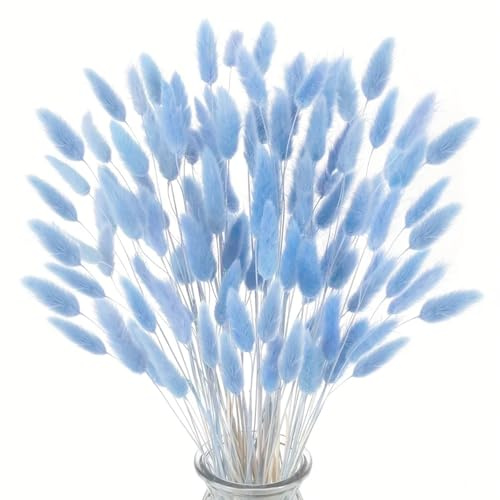 Kinesgsg 120 Piezas Decoración de Pampas Grass Secass, 45cm, Corte Libre
