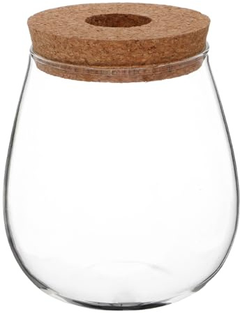 TOYANDONA Creative Transparent Hydroponic Glass Vase for Indoor Plants Soil Propagation Station Minimal Maintenance Terrarium Planter for Pothos and Greenery Clear Observation Desktop Decor