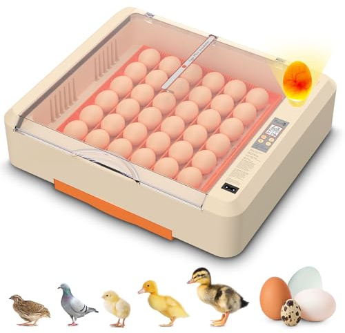 Egg Incubator with Auto Turning and Humidity Control, 36-60 Eggs Hatcher with External Drawer Water Tank, Adjustable Space for Chicken Duck Goose Quail Turkey Eggs, Orange