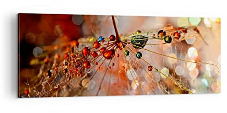 Panorama Bilder auf Leinwand Spinnennetz modern Leinwandbild 140x50cm Wandbilder Dekoration Wohnzimmer Schlafzimmer Küche Groß XXL Wanddeko Bild Wand Kunstdruck Art Wall Decor Canvas AB140x50-3774