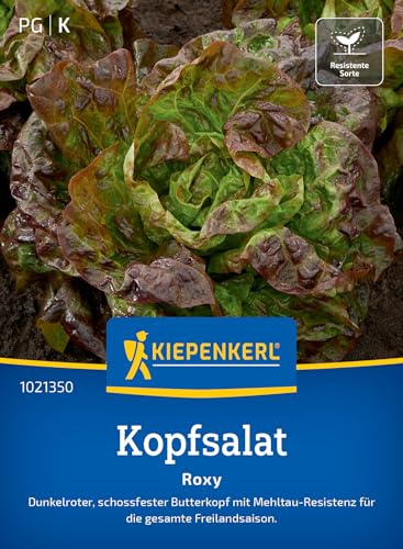 Kiepenkerl Kopfsalatsamen Roxy 1021350 – Dunkelrote, schossfeste Butterkopf-Salatsamen für die gesamte Freilandsaison, mild-süßlicher Geschmack
