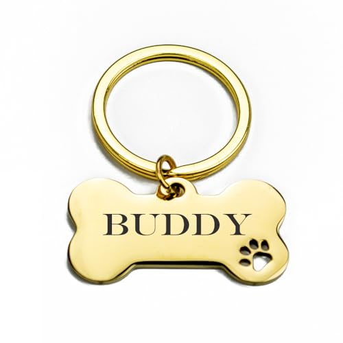Personalisierte Hundemarke mit Gravur, Haustier Tag ID, Gravur, Edelstahl, Schlüsselanhänger (Gold, S 40x21mm)