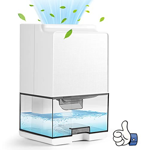 Carastek Deumidificatore Casa 1000ML,Deumidificatore Portatile e Ultra Silenzioso Contro Muffa e L'umidità Spegnimento Automatico e Luce LED Colorata per Camera da Letto Bagno Sbrinamento Automatico