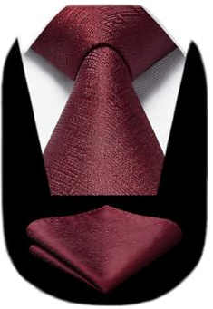 HISDERN Krawatten für Herren Burgund Klassisch Hochzeit Krawatte mit Einstecktuch Formelle Business Schlips Elegant Party