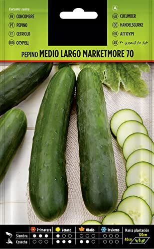 Semillas de Pepino | DECOALIVE | Ideales para Siembra en Huerto Urbano | Semillas Verduras