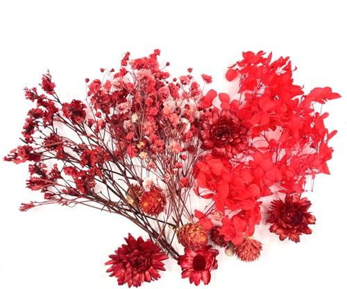 QZKJQDD Getrocknete Blumen, Trockenblumen Zum Basteln, Getrocknete Blumen, Trockenblumen Klein, Für DIY Handwerk Dekoration Epoxidharz Handwerk Scrapbooking Kartenherstellung (roter Anzug)