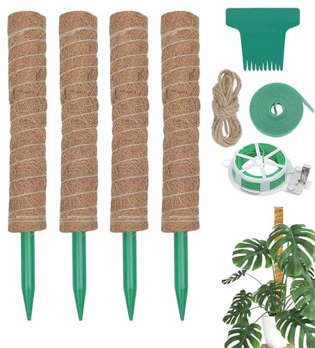 Monstera Lot de 4 piquets en mousse naturels pliables pour extérieur, balcon, jardin, terrasse, pothos adansonii, lierre