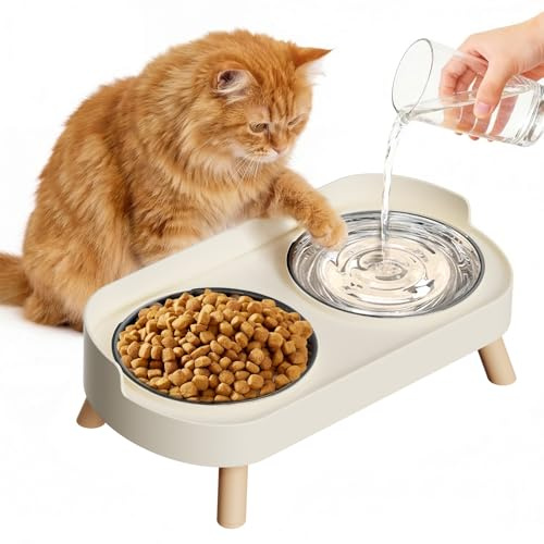 Katzennapf Erhöht – 2 Edelstahl Katzennäpfe mit Spritzschutz, Erhöhter Futternapf Katze, geeignet für Wohnungskatzen & kleine Hunde, Spülmaschinengeeignet, Weiß