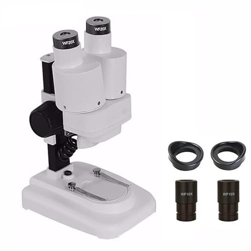 Mikroskopzubehör 2. 0x / 40x. Binokulares Stereomikroskop oben LED Beleuchtung PCB Mikroskopio. Haltbarkeit und zuverlässige Leistung(Bianco)