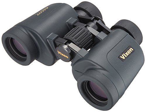 Vixen Fernglas Ascot 8x32 ZWCF