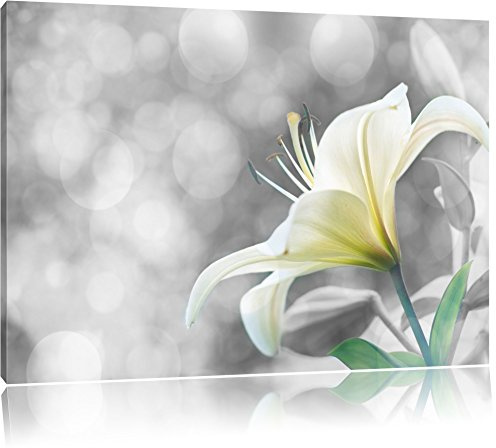 Pixxprint Bezaubernde Lilie B&W, Größe: 80x60cm, Leinwandbild, fertig gespannt, Wandbild, Dekoration, Kunstdruck, kein Poster