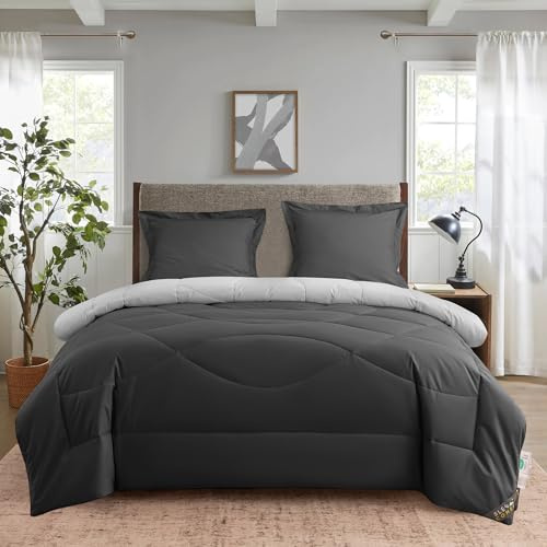 SLEEP COMFY 4 Jahreszeiten Bettdecke ohne Bezug 200x200cm Baumwolle & Mikrofaser Steppdecke + Kissenbezüge, Atmungsaktiv & Washbar, Oeko-TEX Zertifiziert