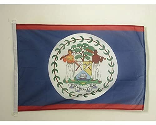 AZ FLAG Pavillon Belize 90x60 cm Bélizien Maille Bloquée Anneaux Plastique | Usage extérieur et nautique Pavillon nautique résistant aux intempéries avec coutures doubles et bords renforcés