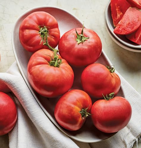 Burpee 'Delicious', Beefsteak Slicing 1-2lbs Tomato, 100 Non-GMO Seeds
