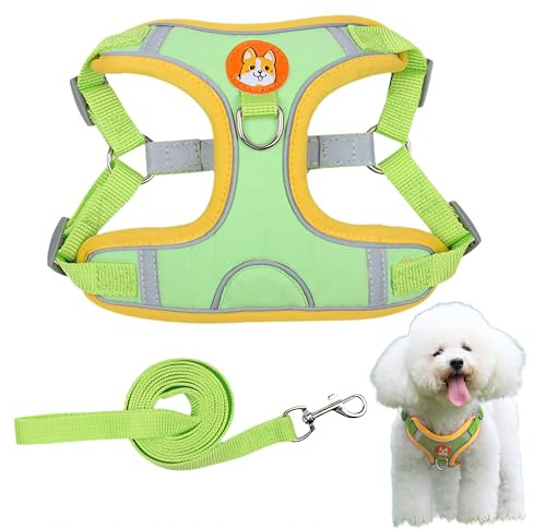 OUDQFCJ Hundebrusttrage mit Leine, Anti-Zug Reflektierende Atmungsaktive Brust Hundeleine für kleine Hunde Weste Hundetrage, Hundeleine, klein