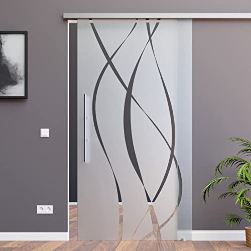 BM6-900-2-600-ASE: Schiebetürsystem ESG 900x2175x8mm Dekor M6, Siebdruck; Schienensystem ALU SlimLine SoftClose; Griffstange rund 600