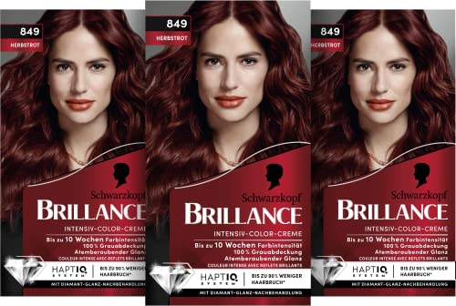 Brillance Intensiv-Color-Creme 849 Herbstrot (160 ml), dauerhafte Haarfarbe mit Diamant-Glanz und Pflege-Conditioner, für 10 Wochen Farbintensität