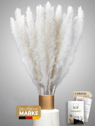 Birkental Pampasgras getrocknet 30 Stück - extra langlebige Trockenblumen - Deko Wohnzimmer , Schlafzimmer, Badezimmer , Vase Trockenblumenstrauß , Boho Deko (Weiß, 70cm)