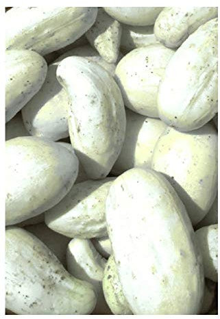 PREMIER SEEDS DIRECT - Cucumber - White Pickle Mini - 50 Seeds