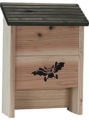 Casetta per pipistrelli
