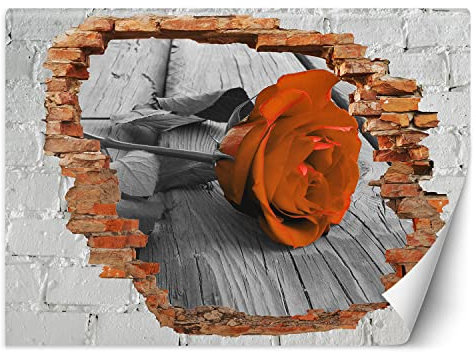 Feeby Papier Peint Intissé Nature trou dans le mur Abstrait 400x280 cm rouge XXL Moderne Décoration Murale Tableaux Muraux Déco Tapisserie pour Salon Chambre à coucher Bureau Fleur Rose Bois