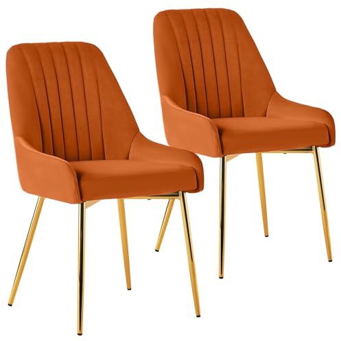 Sepnine Esszimmerstühle 2er Set, Essstuhl, Polsterstuhl mit goldenen Metallbeinen, Samt Küchenstuhl, komfortabler Esszimmermöbel, ergonomische Dining Chairs