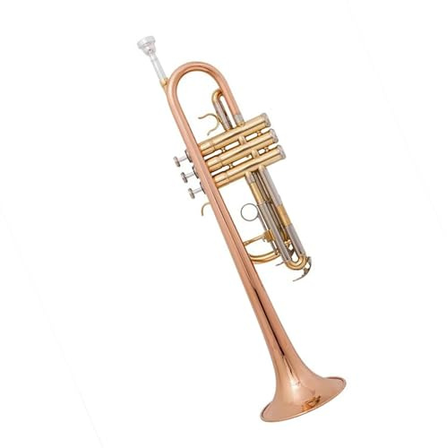 Professionelles Musikinstrument Trompete Messingrohr C-Ton Kleine Trompete Verstellbares Doppelhorn Vergoldete Oberfläche Professionelle Musikinstrumente