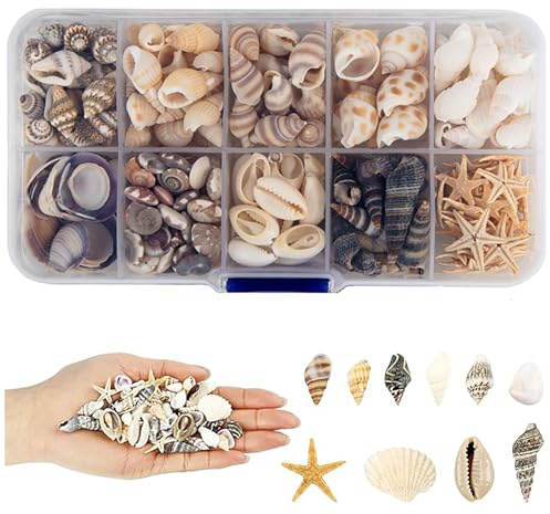Conchas Marinas Mixtas,200 PCS Conchas Marinas Conchass Marinass Mixtas de Playa Conchass Marinass Manualidades para Fiestas temáticas de Playa Manualidades Rellenos de Jarrones