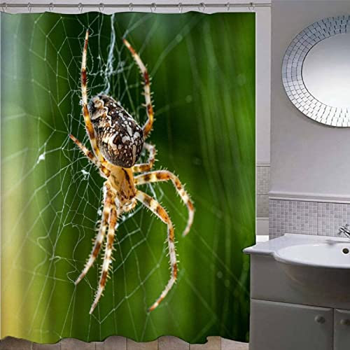 Rideau de Douche 120 x 200 cm Araignées Rideau de Douche Anti-Moisissure et Imperméable Animaux Rideaux Douche Décor pour Salle de Bain/Baignoire, avec 8 Crochets en Plastique