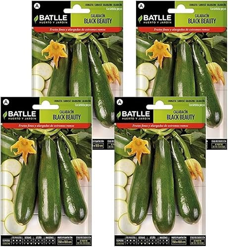 Pack 4 Semillas de calabacín black beauty en sobre de Semillas Batlle