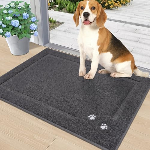 BEQHAUSE Dog Door Mat for Mud Paws Dirt Trapper Doormat Non-Slip Entryway Rugs Absorbent Welcome Mat Washable Indoor Floor Mat Low-Profile for Front Door, 24 x 36, Dark Grey