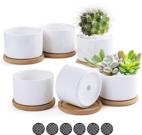 TsunNee 6PCS 3 Inches Ceramic Flower Pots, Classic Round Succulent Pots, Ceramic Planter Pots, White Mini Decorative Bonsai Pots for Home Garden Office Decor Desktop Windowsill Gift