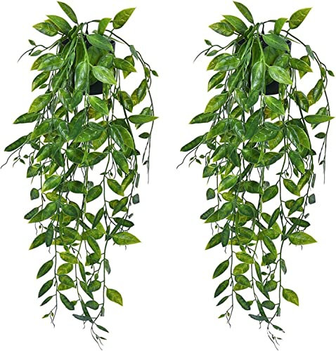 HanYun 2pcs Künstliche Hängepflanze,Kleine Eukalyptus Künstliche Grünpflanze für Weinpflanze im Topf für Zuhause, Innen und Außenbereich, Büro, Hochzeit, Wanddekoration……