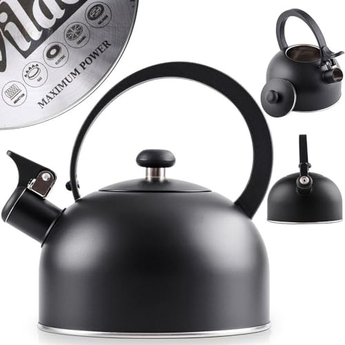 Bouilloire sifflante en acier inoxydable Noir 2 l