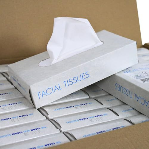 KURTT Kosmetiktücher (4.000 Stück) 2-lagig Taschentücher im Karton, Cellulose Papiertaschentücher, 40 Boxen x 100 Gesichtstücher, mit FSC und EU Ecolabel