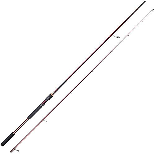 Westin W6 PowerTeez M 2,50m 14-49g Spinnrute zum Spinnangeln auf Zander & Hechte, Jigrute zum Zanderangeln, Raubfischrute
