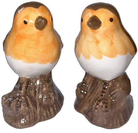 Robin Ceramic Salt & Pepper Shaker Cruet Set Novelty Animal Lover Gift, Boxed Robins Desgin 5610