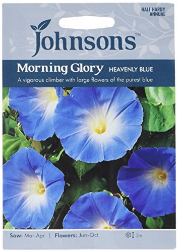Johnsons 22639 Flower Seeds, Morning Glory Heavenly Blue