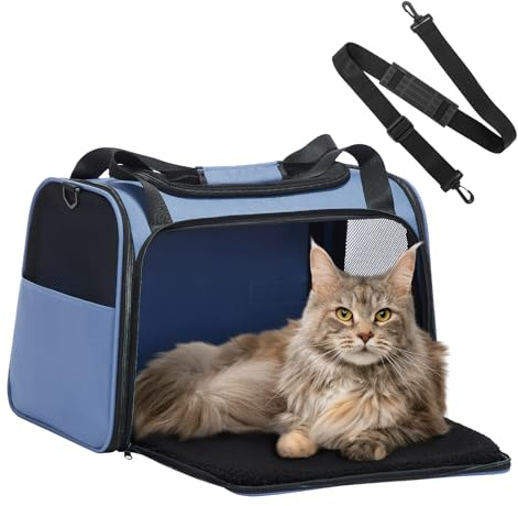 Petsfit Transportbox Katze kleine Hunde leicht Hundetasche für kleine Hunde Katzen Transporttasche Hundetragetasche,Hunde Tragetasche Hund mit Schutzgurt & erweiterbare Matte, L/Blau